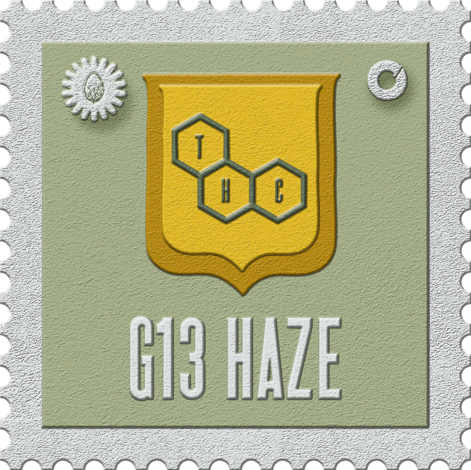 G13 Haze 